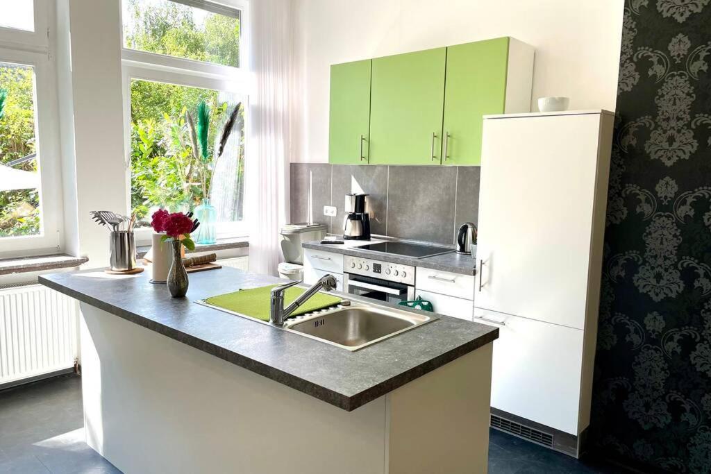 Villa Einhorn: Altstadt Loft Mit Privater Terrasse Goslar Kültér fotó